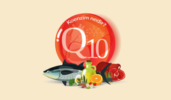  Coenzyme Q10 and What We Need to Know